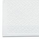 Model Builder`s Supply Line Styrene Sheets pkg(2) .020 x 11 x 14` -- Textured Block, O, The N Scale Architect 50056