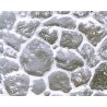 Patterned Sheets - Stone - Round Field Stone - .020 x 7 x 12` pkg(2) -- ,810` Beige Stones, 1/12, Plastruct Inc 91591