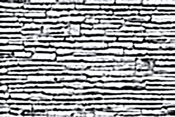 Patterned Plastic Sheet 2-Pack -- Random Coarse Stone 7-1/2 x 12′ 19.1 x 30.5cm, HO, JTT Miniature Tree 97444