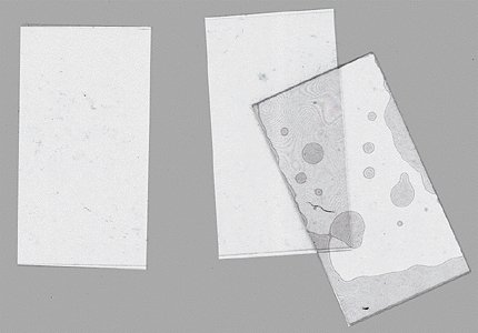 .005` Thick Plate Glass -- .85 x 1.70` 2.16 x 4.32cm pkg(4), All Scales, Ngineering N70044