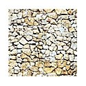 Wall Card 8-1/4` x 5-13/16` (21cm x 14.8cm) -- Natural Stone /2, HO, Busch Gmbh & Co Kg 7422
