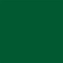Paint PLA Enamel Military Flat Colors - 1/4oz 7.4mL Bottle -- Beret Green, All Scales, Testor Corp 1171