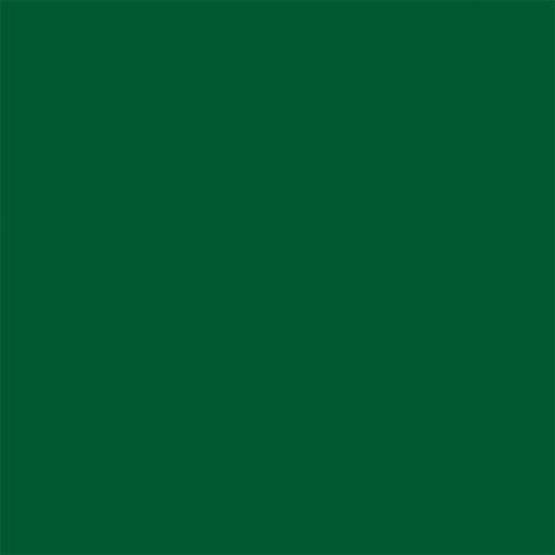 Paint PLA Enamel Military Flat Colors - 1/4oz 7.4mL Bottle -- Beret Green, All Scales, Testor Corp 1171