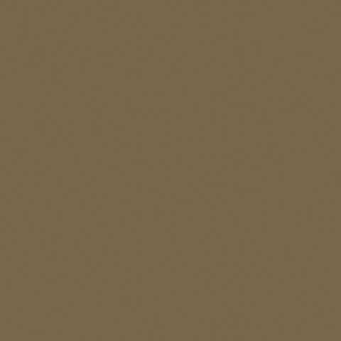 Water-Based Acrylic Paint - 1oz 29.6mL -- MMP-008 Graugrun (Gray-Green) RAL 7008, All Scales, Mission Models 8