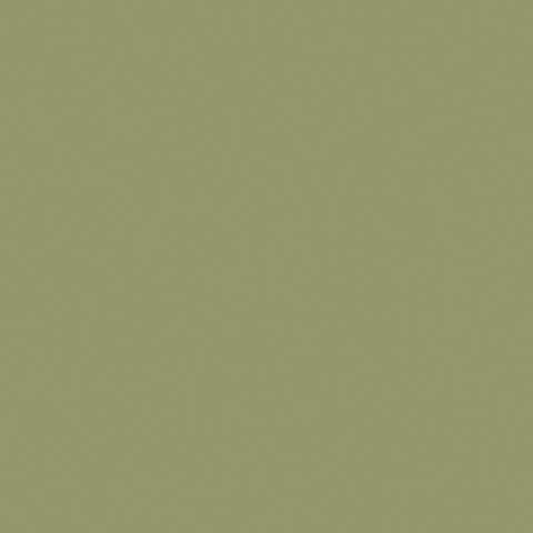 Water-Based Acrylic Paint 1oz 29.6ml -- MMP-021 US Army Olive Drab Faded 2, All Scales, Mission Models 21