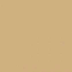 Water-Based Acrylic Paint 1oz 29.6ml -- MMP-010 Gelbbraun Yellow-Brown RAL 8020, All Scales, Mission Models 10