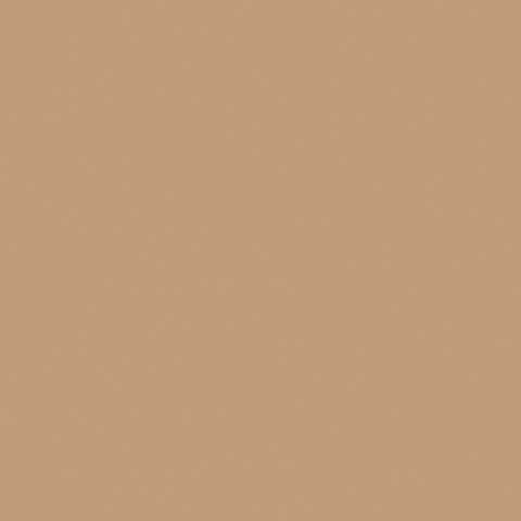 Water-Based Acrylic Paint 1oz 29.6ml -- MMP-038 US Desert Tan Modern 2 FS 33446, All Scales, Mission Models 38