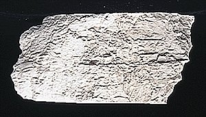 Earth Colors Liquid Pigment(TM) - 4oz 118mL Bottle -- Concrete, All Scales, Woodland Scenics 1217