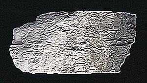 Earth Colors Liquid Pigment(TM) - 4oz 118mL Bottle -- Stone Gray, All Scales, Woodland Scenics 1218