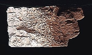 Earth Colors Liquid Pigment(TM) - 4oz 118mL Bottle -- Burnt Umber, All Scales, Woodland Scenics 1222