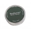 Panpastel Color Powder -- Permanent Green Extra Dark, All Scales, Pan Pastel 26401