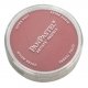 Panpastel Color Powder -- Permanent Red Shade, All Scales, Pan Pastel 23403