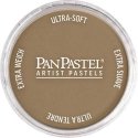 Panpastel Color Powder -- Raw Umber Light, All Scales, Pan Pastel 27807