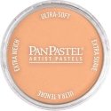 Panpastel Color Powder -- Burnt Sienna Light, All Scales, Pan Pastel 27407