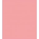 Sprayable Matte Paints - 1oz 29.6mL -- Exterior Wall - Salmon Pink, All Scales, Tru-Color Paint 455