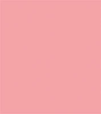 Sprayable Matte Paints - 1oz 29.6mL -- Exterior Wall - Salmon Pink, All Scales, Tru-Color Paint 455