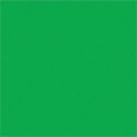 Paint PLA Enamel Flourescent Colors - 1/4oz 7.4mL -- Green, All Scales, Testor Corp 1174