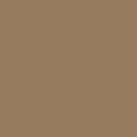 All-Purpose Enamel Paint - 1/4oz 7.4mL Bottle -- Wood, All Scales, Testor Corp 1141
