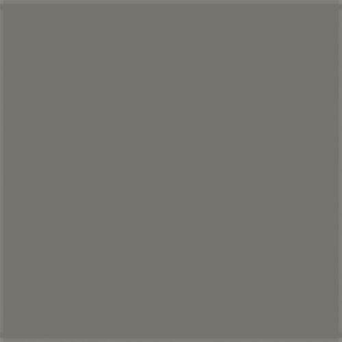 All-Purpose Enamel Paint - 1/4oz 7.4mL Bottle -- Metallic Silver, All Scales, Testor Corp 1146