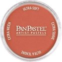 Panpastel Color Powder -- Red Iron Oxide Light, All Scales, Pan Pastel 23807