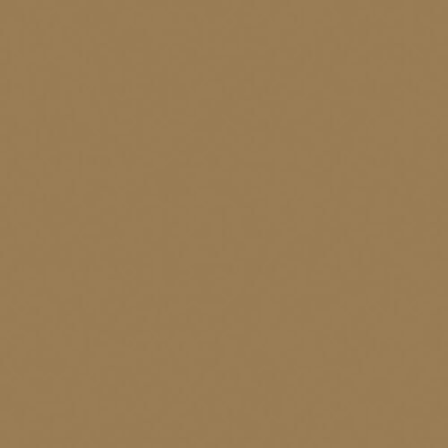 Flat Brushable Color Acrylic Paints - 1oz 29.6mL -- Dark Tan, All Scales, Tru-Color Paint 819