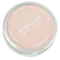Panpastel Color Powder -- Turquoise Tint, All Scales, Pan Pastel 25808