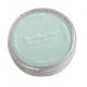 Panpastel Color Powder -- Permanent Green Tint, All Scales, Pan Pastel 26408