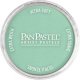 Panpastel Color Powder -- Permanent Green Light, All Scales, Pan Pastel 26407