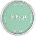 Panpastel Color Powder -- Permanent Green Light, All Scales, Pan Pastel 26407