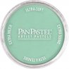 Panpastel Color Powder -- Permanent Green Light, All Scales, Pan Pastel 26407