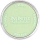 Panpastel Color Powder -- Yellow Green Tint, All Scales, Pan Pastel 26908