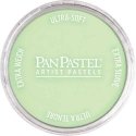Panpastel Color Powder -- Yellow Green Tint, All Scales, Pan Pastel 26908