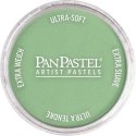 Panpastel Color Powder -- Chromium Oxide Green Light, All Scales, Pan Pastel 26607
