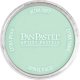 Panpastel Color Powder -- Blue Green Tint, All Scales, Pan Pastel 26708