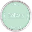 Panpastel Color Powder -- Blue Green Tint, All Scales, Pan Pastel 26708