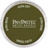 Panpastel Color Powder -- Bright Yellow Green Extra Dark, All Scales, Pan Pastel 26801