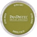 Panpastel Color Powder -- Bright Yellow Green Shade, All Scales, Pan Pastel 26803