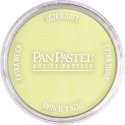 Panpastel Color Powder -- Bright Yellow Green Tint, All Scales, Pan Pastel 26808