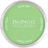 Panpastel Color Powder -- Yellow Green Light, All Scales, Pan Pastel 26907