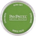 Panpastel Color Powder -- Yellow Green Shade, All Scales, Pan Pastel 26903