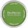 Panpastel Color Powder -- Yellow Green Shade, All Scales, Pan Pastel 26903
