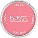 Panpastel Color Powder -- Primary Magenta Medium, All Scales, Pan Pastel 24106