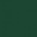 Railroad Color Acrylic Paints - 2oz 59.1mL -- Southern Railway Green, All Scales, Tru-Color Paint 2128