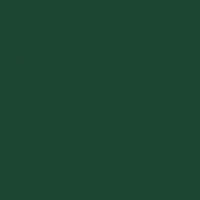 Railroad Color Acrylic Paints - 2oz 59.1mL -- Southern Railway Green, All Scales, Tru-Color Paint 2128
