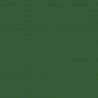 Railroad Color Acrylic Paints - 2oz 59.1mL -- Burlington Northern Cascade Green, All Scales, Tru-Color Paint 2067
