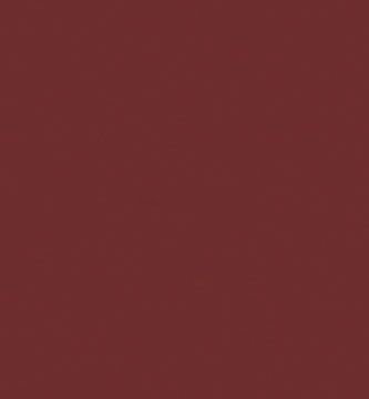 Sprayable Matte Paints - 1oz 29.6mL -- Brown Rust, All Scales, Tru-Color Paint 407