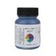 Railroad Color Acrylic Paints - 1oz 29.6mL -- St Louis-San Francisco Frisco Meteor Blue, All Scales, Tru-Color Paint 392
