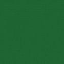 Railroad Color Acrylic Paints - 2oz 59.1mL -- Missouri-Kansas-Texas Green, All Scales, Tru-Color Paint 2318