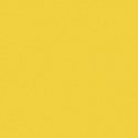 Railroad Color Acrylic Paints - 2oz 59.1mL -- Florida East Coast Modern Yellow, All Scales, Tru-Color Paint 2321