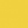 Railroad Color Acrylic Paints - 2oz 59.1mL -- Florida East Coast Modern Yellow, All Scales, Tru-Color Paint 2321